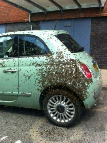 Des photos qui craignent - 11