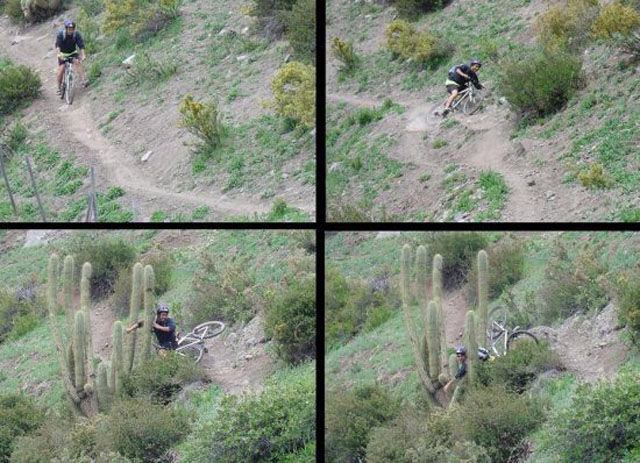 Des photos qui craignent - 23