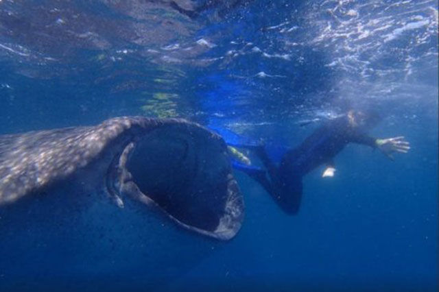 Des photos qui craignent - 25