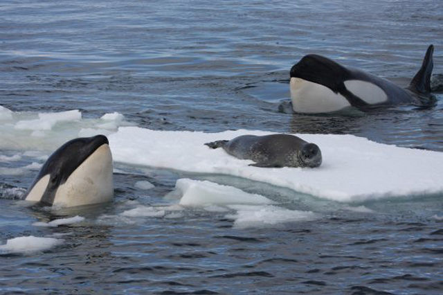 Des photos qui craignent - 29