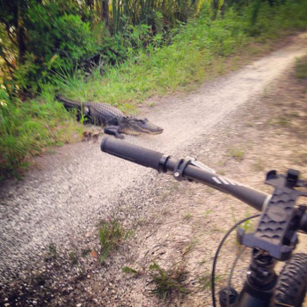 Des photos qui craignent - 31