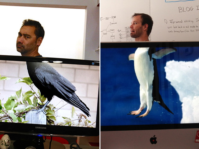 'amuser avec un fond d'cran - 11