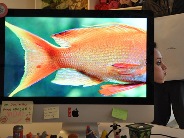 'amuser avec un fond d'cran - 14