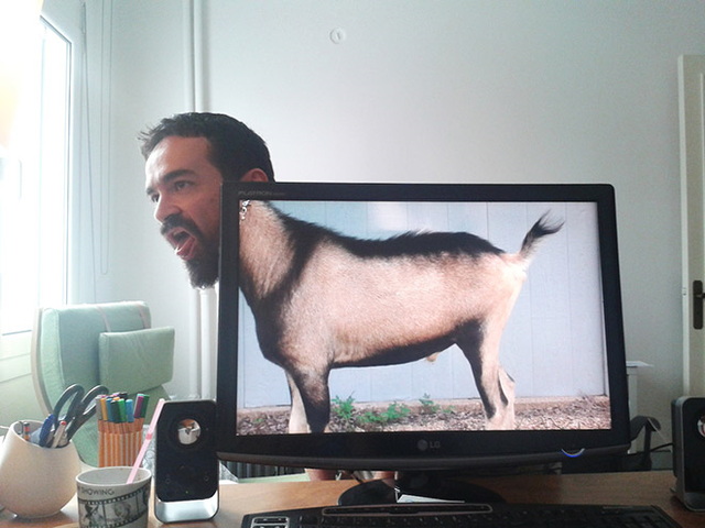 'amuser avec un fond d'cran - 17