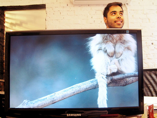 'amuser avec un fond d'cran - 19