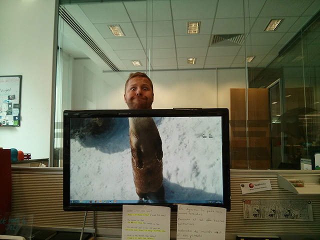 'amuser avec un fond d'cran - 20