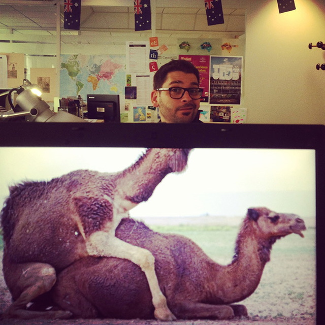 'amuser avec un fond d'cran - 6