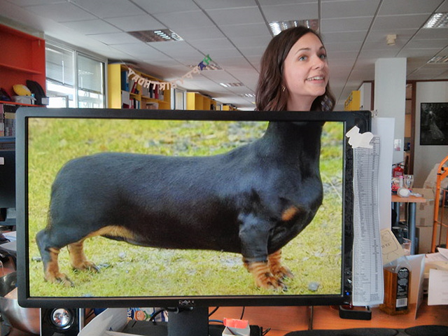 'amuser avec un fond d'cran - 8