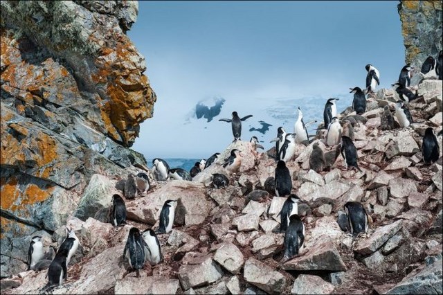 belles photos du national geographic - 15