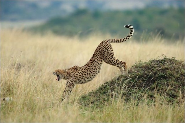 belles photos du national geographic - 31