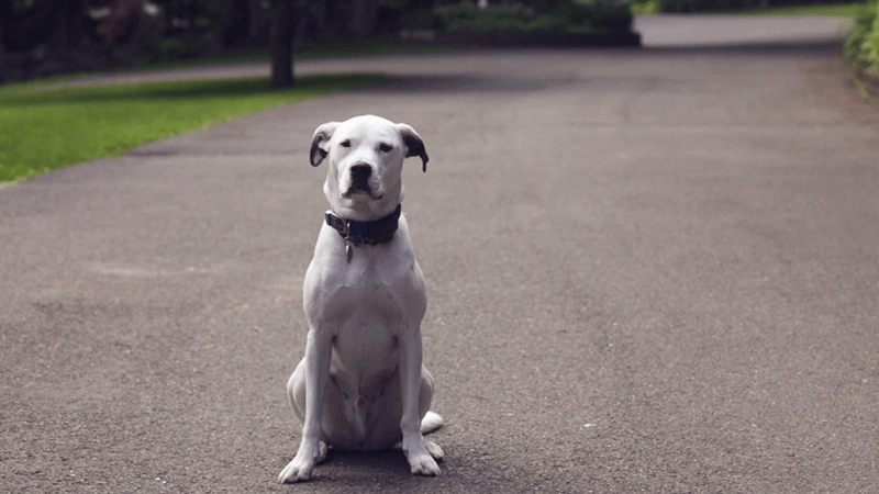 22 sublimes Cinemagraph - 19