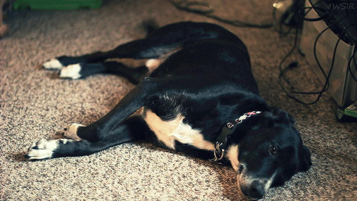 22 sublimes Cinemagraph - 8