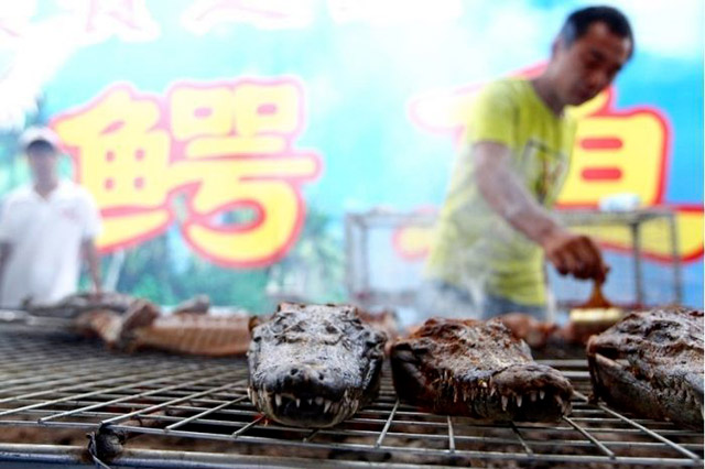 Brochettes de crocodile - 1