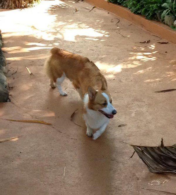 photos drles panoramiques d'iPhone - 13