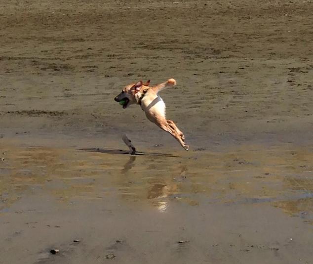 photos drles panoramiques d'iPhone - 2