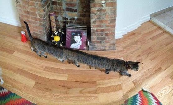 photos drles panoramiques d'iPhone - 3