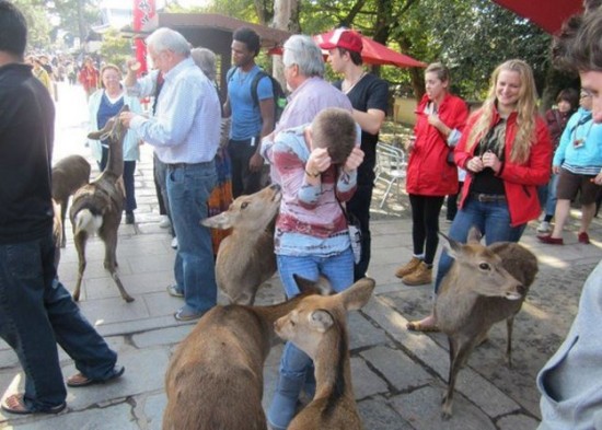 Photos rigolotes d'animaux et de femmes - 13