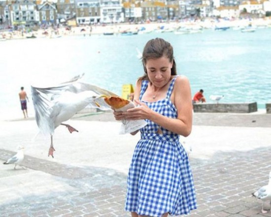 Photos rigolotes d'animaux et de femmes - 18
