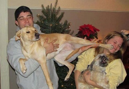 Photos rigolotes d'animaux et de femmes - 20