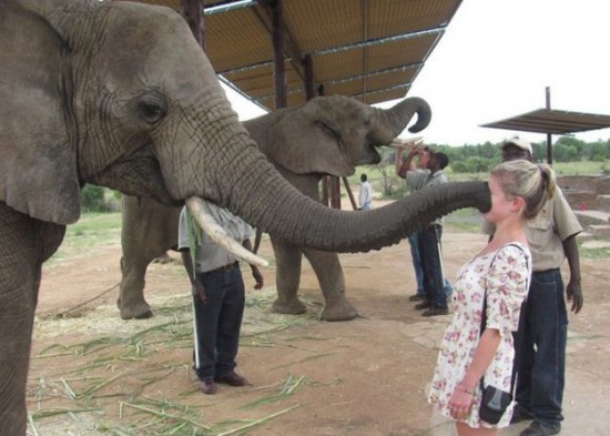 Photos rigolotes d'animaux et de femmes - 21