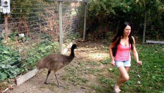 Photos rigolotes d'animaux et de femmes - 25