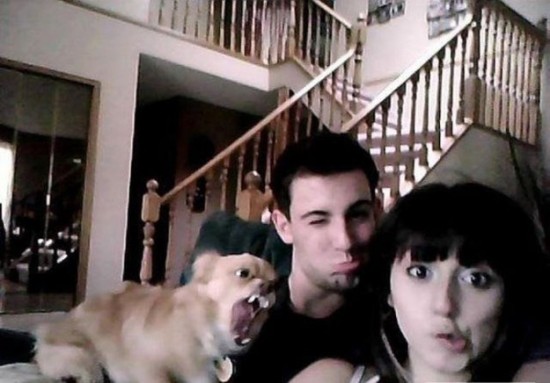 Photos rigolotes d'animaux et de femmes - 26