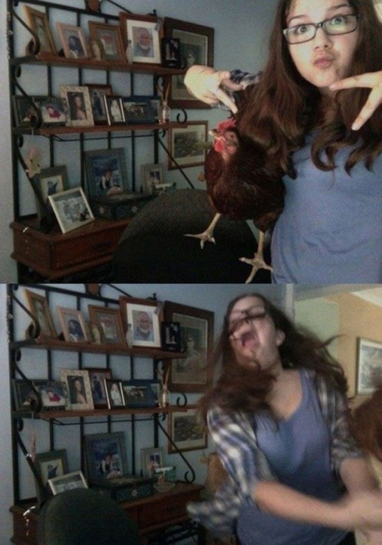 Photos rigolotes d'animaux et de femmes - 7