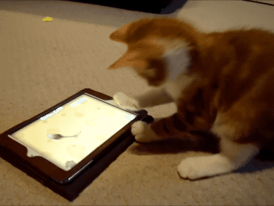 Chats marrants (Ce chaton qui n'arrive pas à attraper la souris virtuelle)