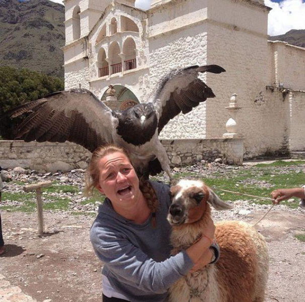 Photos de photobomb avec des animaux - 13