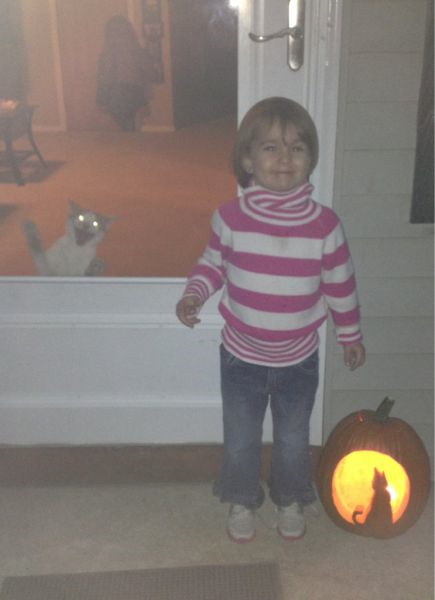 Photos de photobomb avec des animaux - 18