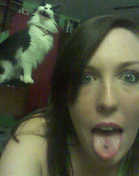 Photos de photobomb avec des animaux - 21