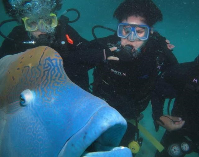 Photos de photobomb avec des animaux - 7