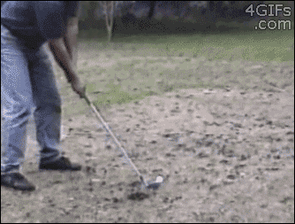Gifs rigolos - 7