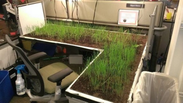 Bonne blague au travail - 1