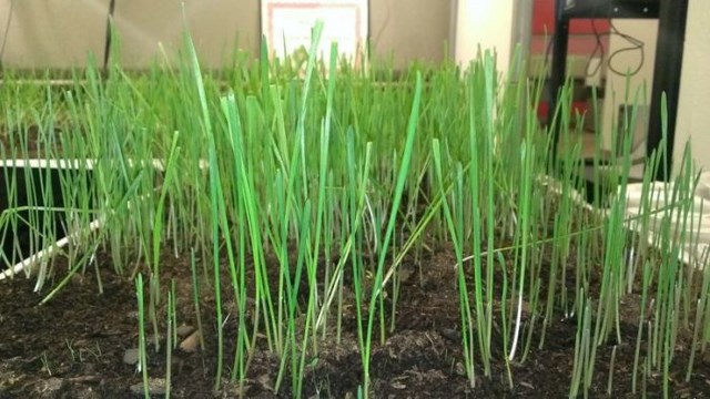 Bonne blague au travail - 2