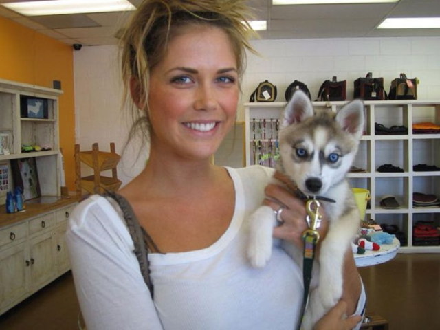 Photos rigolotes de chiens - 1