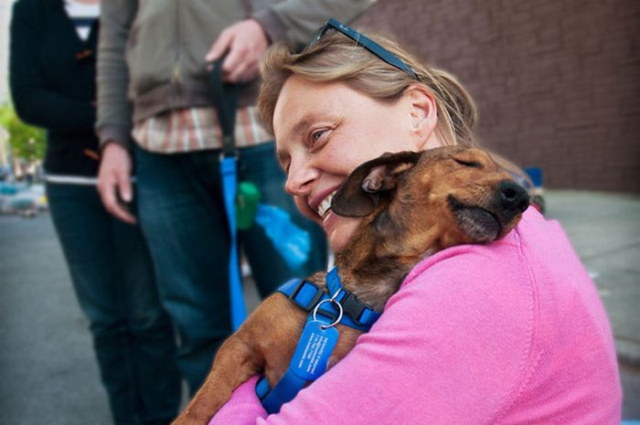 Photos rigolotes de chiens - 10