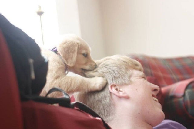 Photos rigolotes de chiens - 11