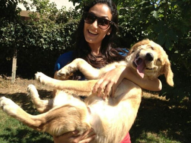 Photos rigolotes de chiens - 6