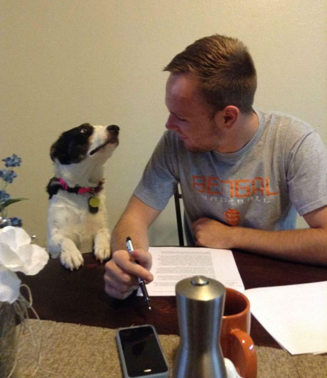 Photos rigolotes de chiens - 7