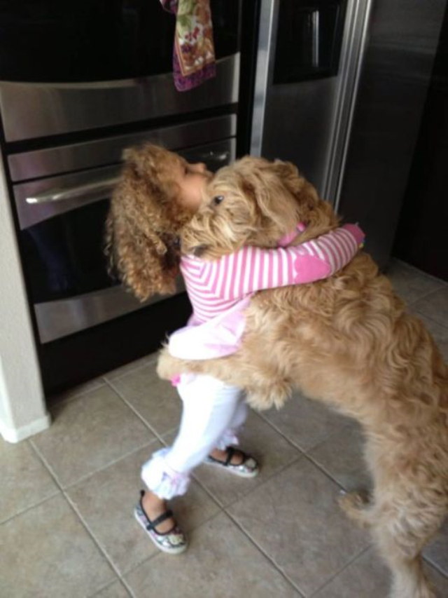 Photos rigolotes de chiens - 8