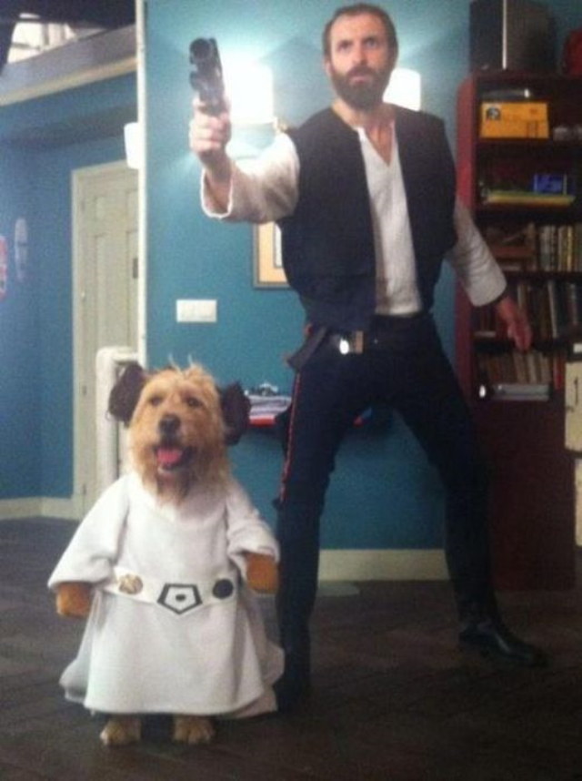 Photos rigolotes de chiens - 9