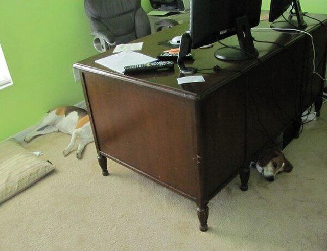 Photos originales point de vue - 11