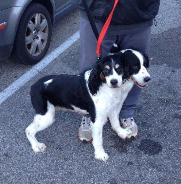 Photos originales point de vue - 17