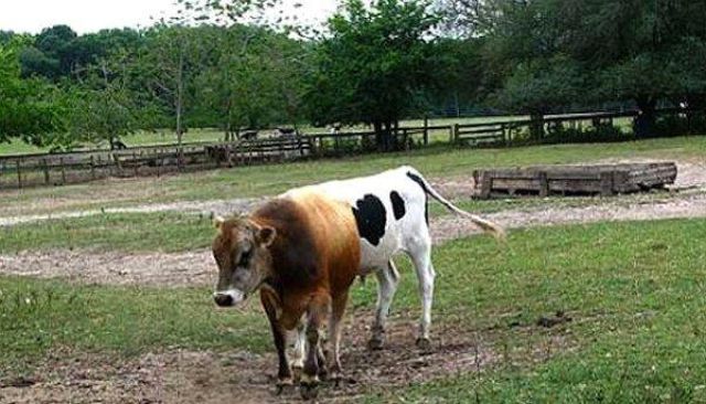 Photos originales point de vue - 30