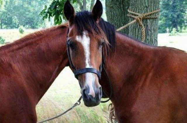 Photos originales point de vue - 31