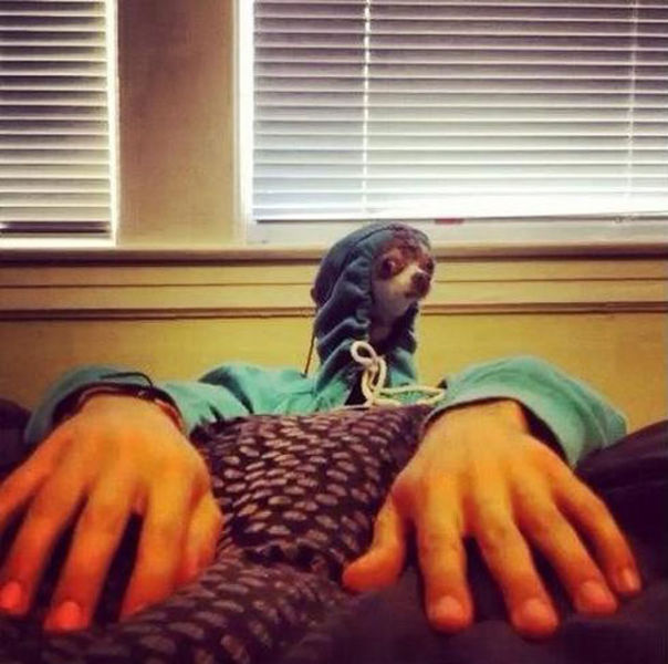 Photos originales point de vue - 45