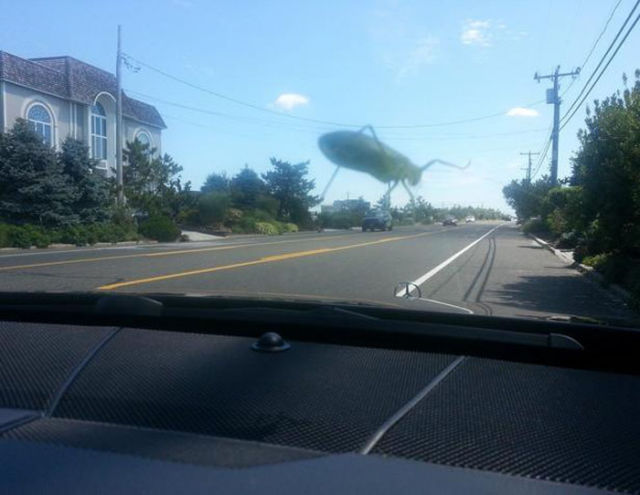 Photos originales point de vue - 50