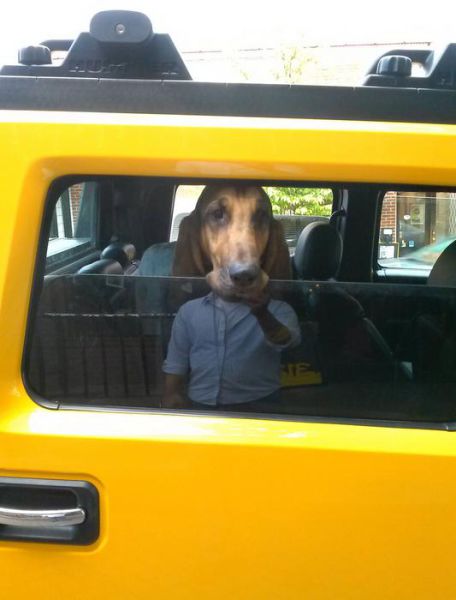 Photos originales point de vue - 53