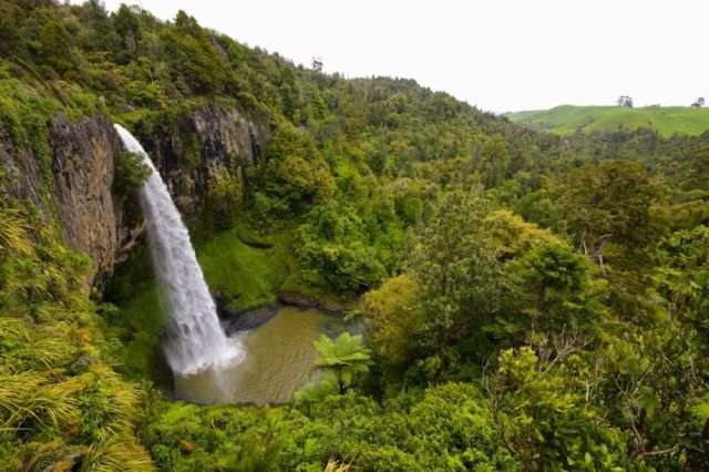 Endroits du globe qui font rêver (Waikato’s Bridal Veil Falls – New Zealand)